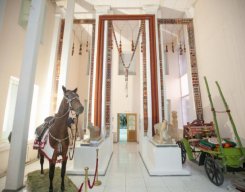 Экспедиции